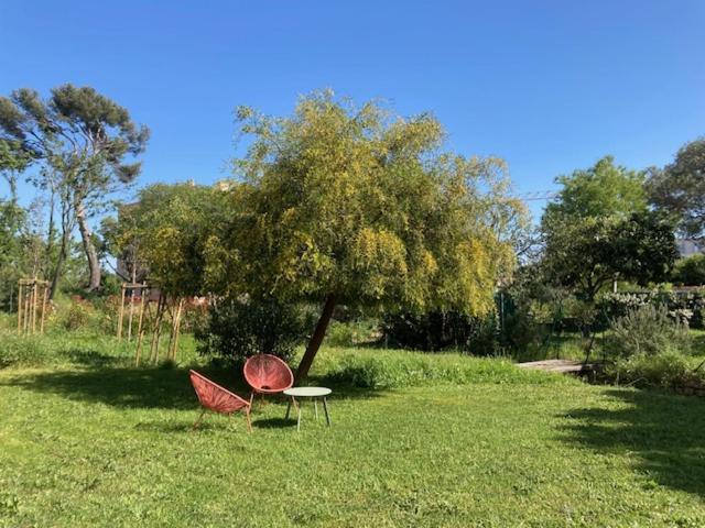 Un Jardin Dans La Ville La Ciotat Dış mekan fotoğraf